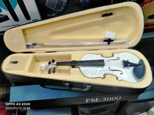 White Violin Instrument