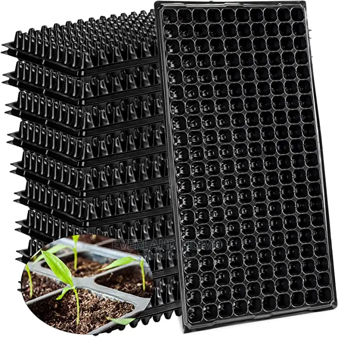 Seedlings Tray- 128, 200, 288