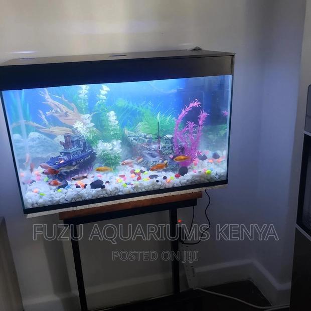 Fish and Aquarium - main view