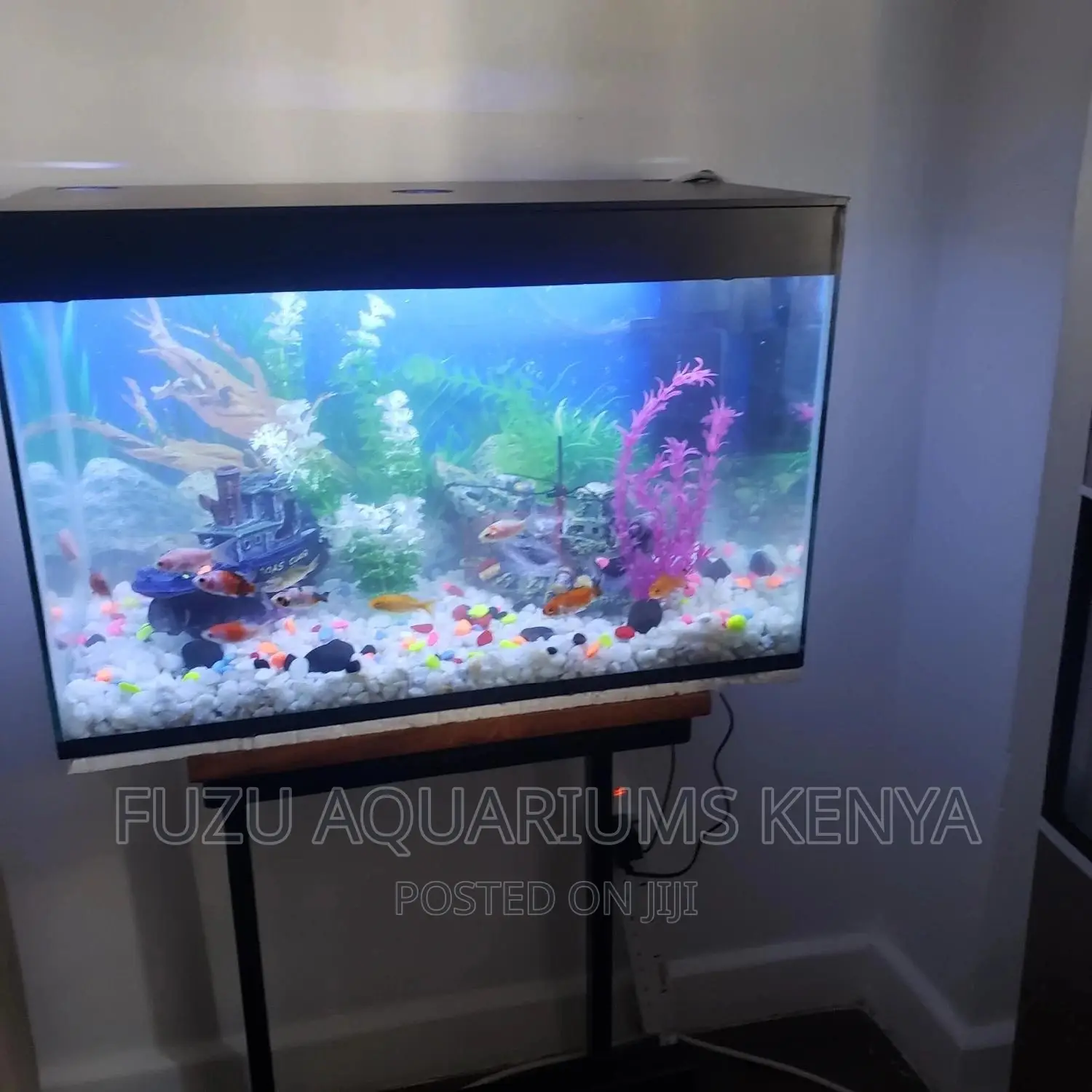 Aquarium 60ltrs