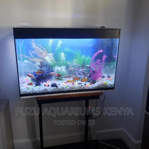 60 Litres Aquarium - main view