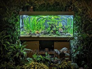 Planted Aquariums With Live Plants - thumbnail 2
