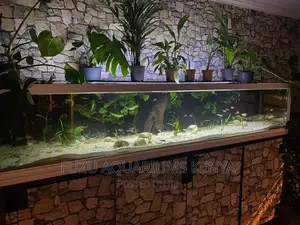 Restaurant Aquarium