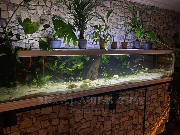 Restaurant Aquarium