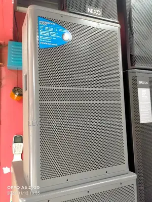 Proffessional Speaker