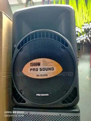 Pro Sound 1500 Plastic Speaker
