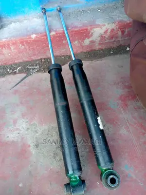 Audi Rear Shocks