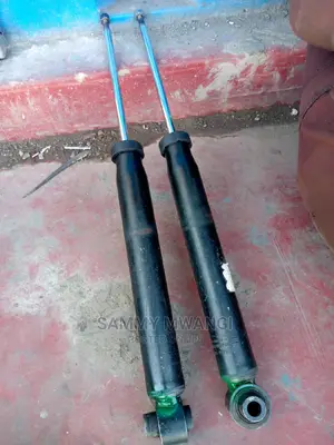 Audi Rear Shocks