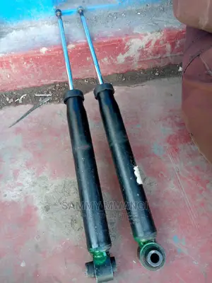 Audi Rear Shocks