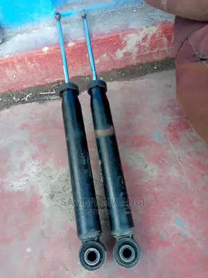 Audi Heavy Duty Rear Shocks