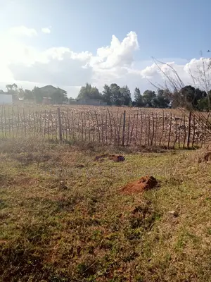 1/4 Plot Kiplombe With Title 4km From CBD TOWN