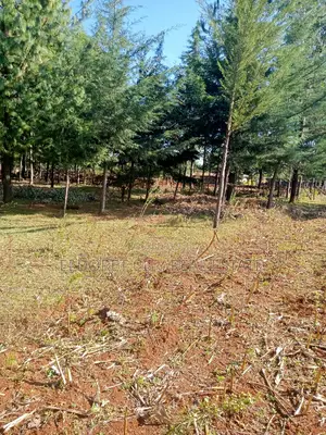 One Acre Land Kiplombe Ideal for Residential