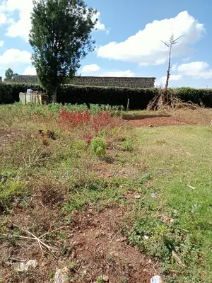 1/4 Plot Kimumu/Betterfarm With Title