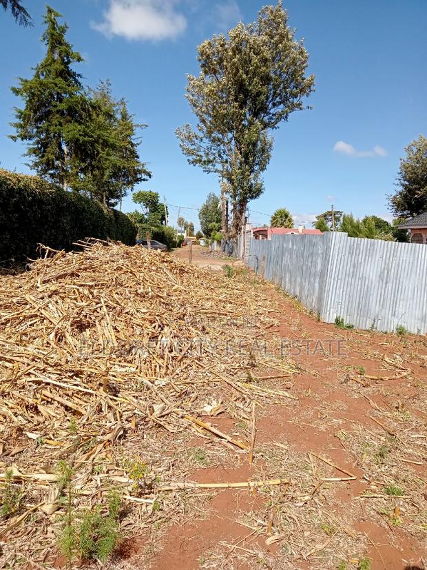 1/4 Plot Kimumu/Betterfarm Ideal for Rental With Title - thumbnail 2