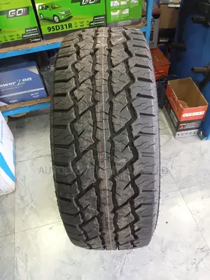 255/55r19 Durun A/T