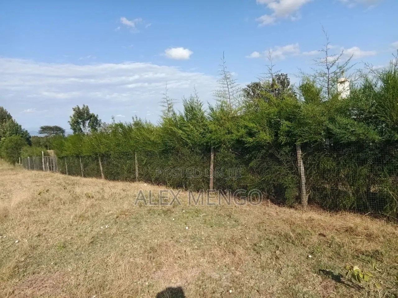 Geogrid Plastic Fence (1.5m by 50m) Roll