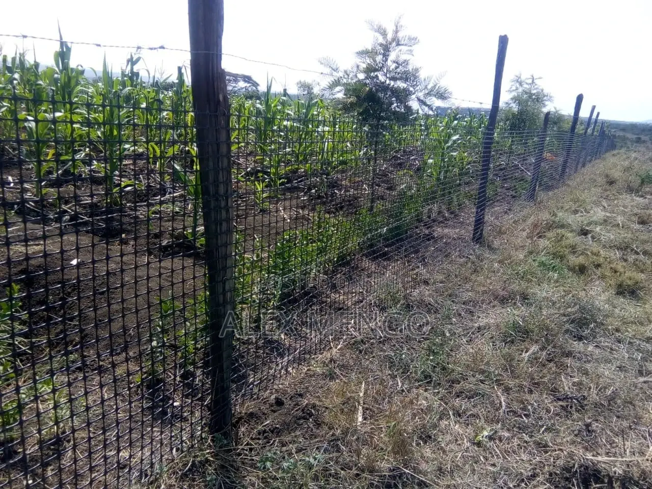 Geogrid Plastic Fence (1.5m by 50m) Roll