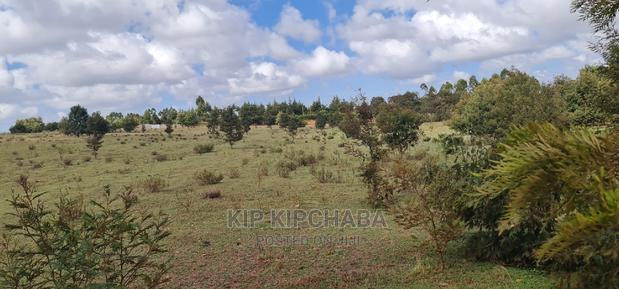 10 Acres for Ale in Chembulet Eldoret - thumbnail 3