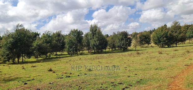 10 Acres for Ale in Chembulet Eldoret - thumbnail 5