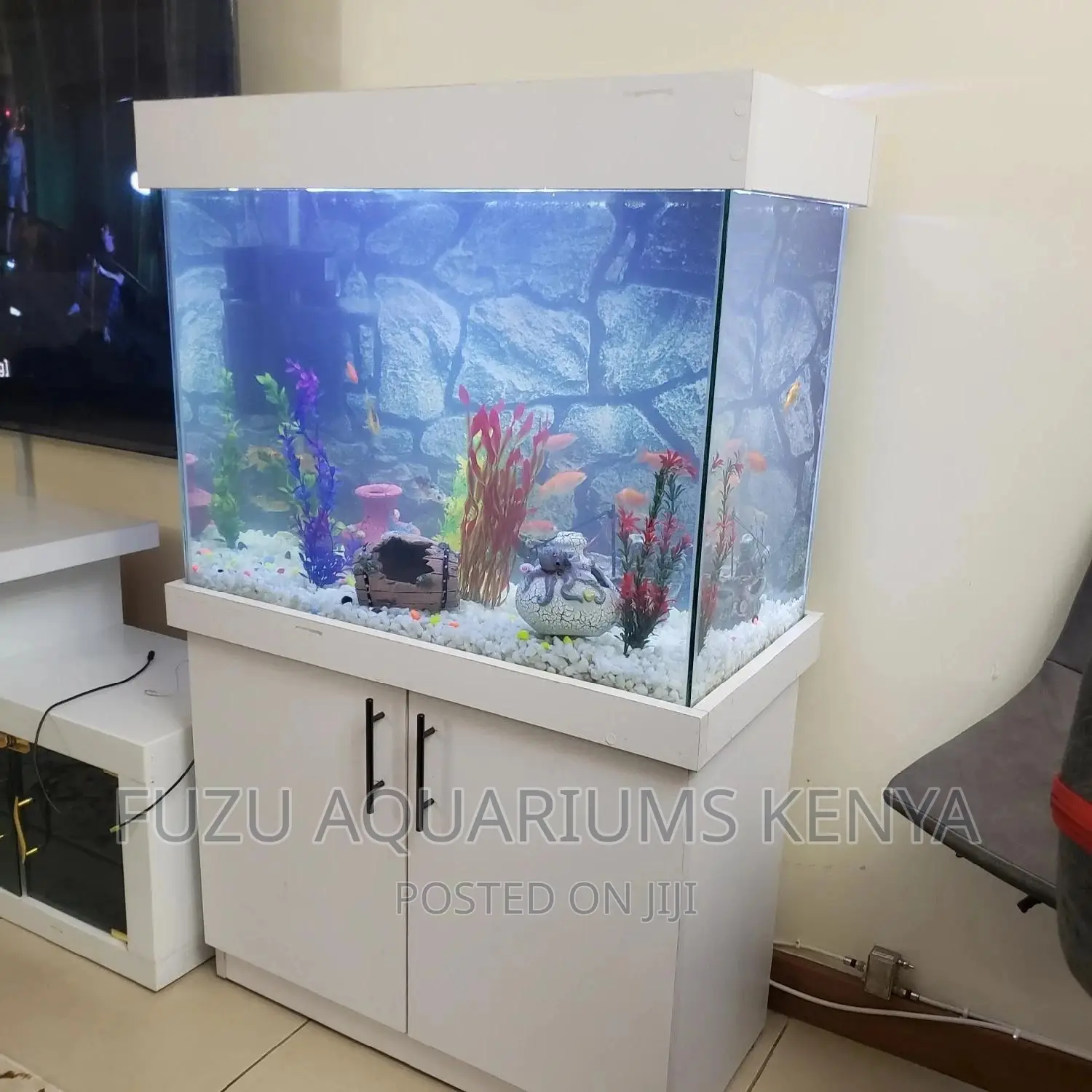 Aquarium Clean
