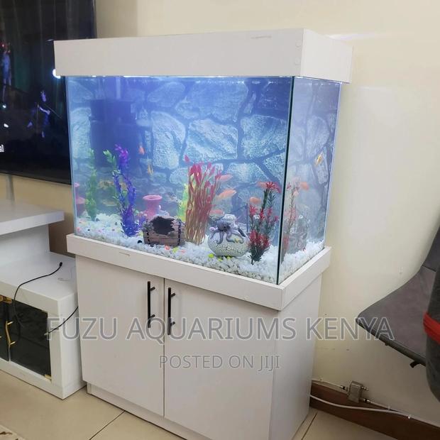 Aquarium Clean - main view