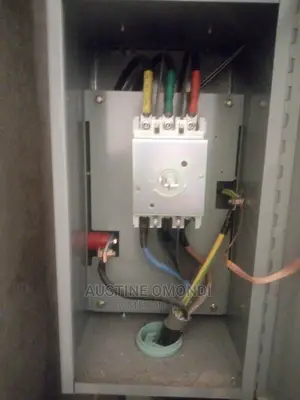 Professional Elctrician