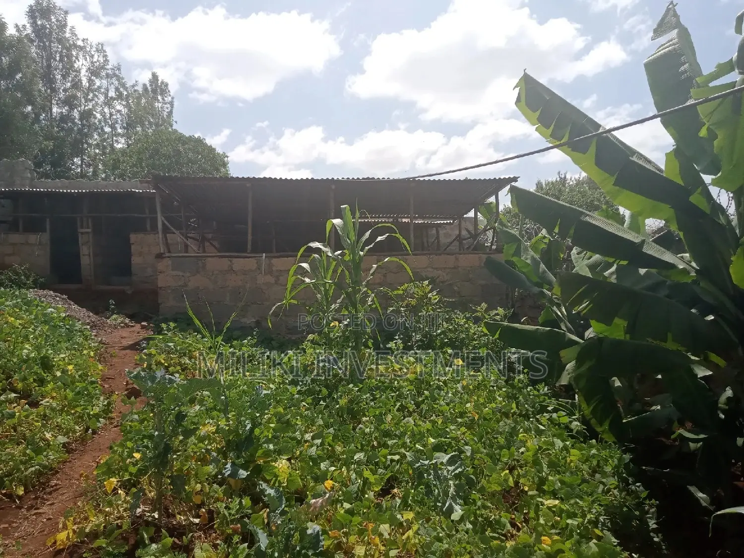 60 by 100 Plot on Sale at Kabati.