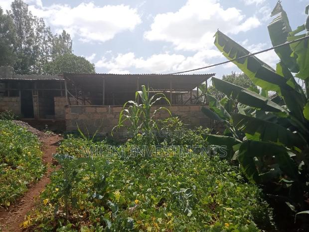 60 by 100 Plot on Sale at Kabati. - thumbnail 7