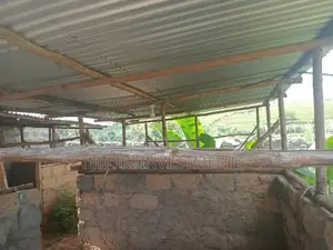 60 by 100 Plot on Sale at Kabati.