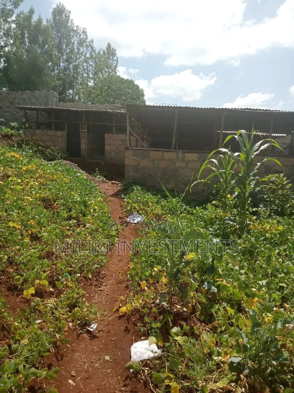 60 by 100 Plot on Sale at Kabati.