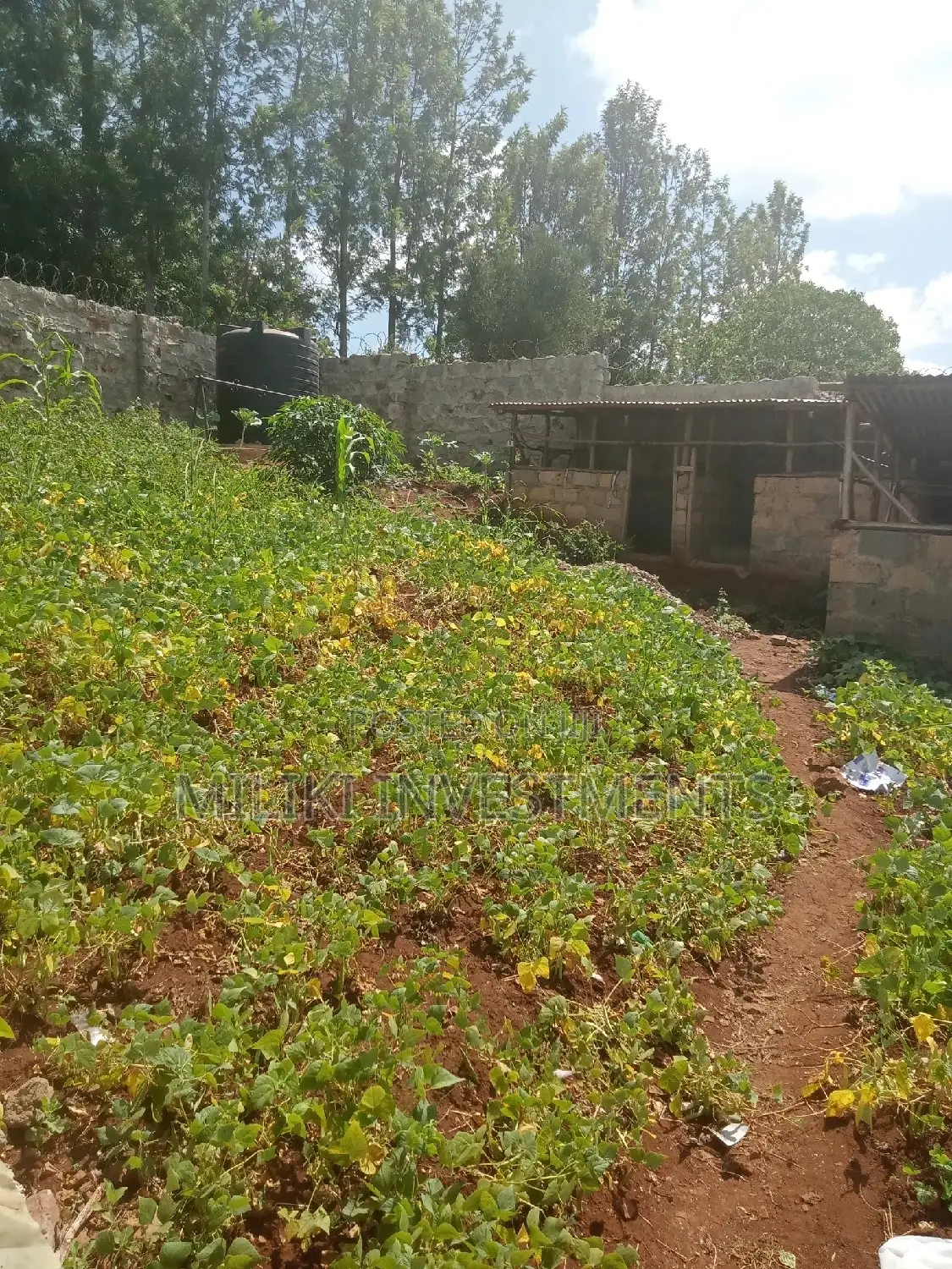 60 by 100 Plot on Sale at Kabati.