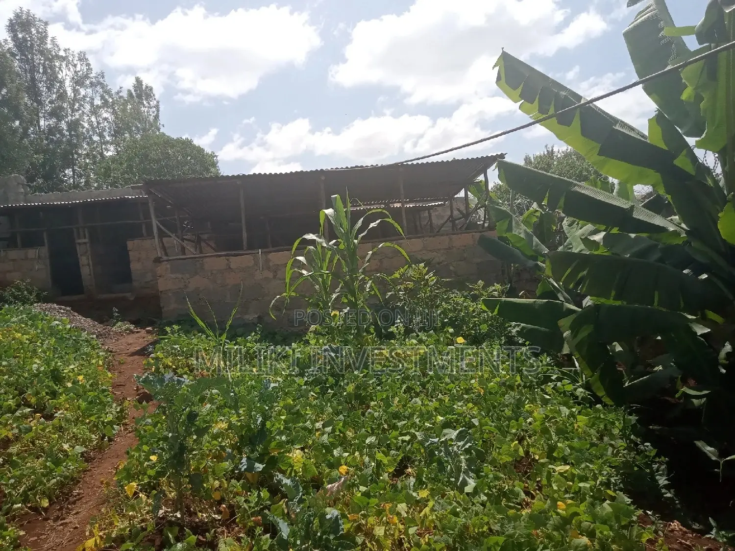 60 by 100 Plot on Sale at Kabati.