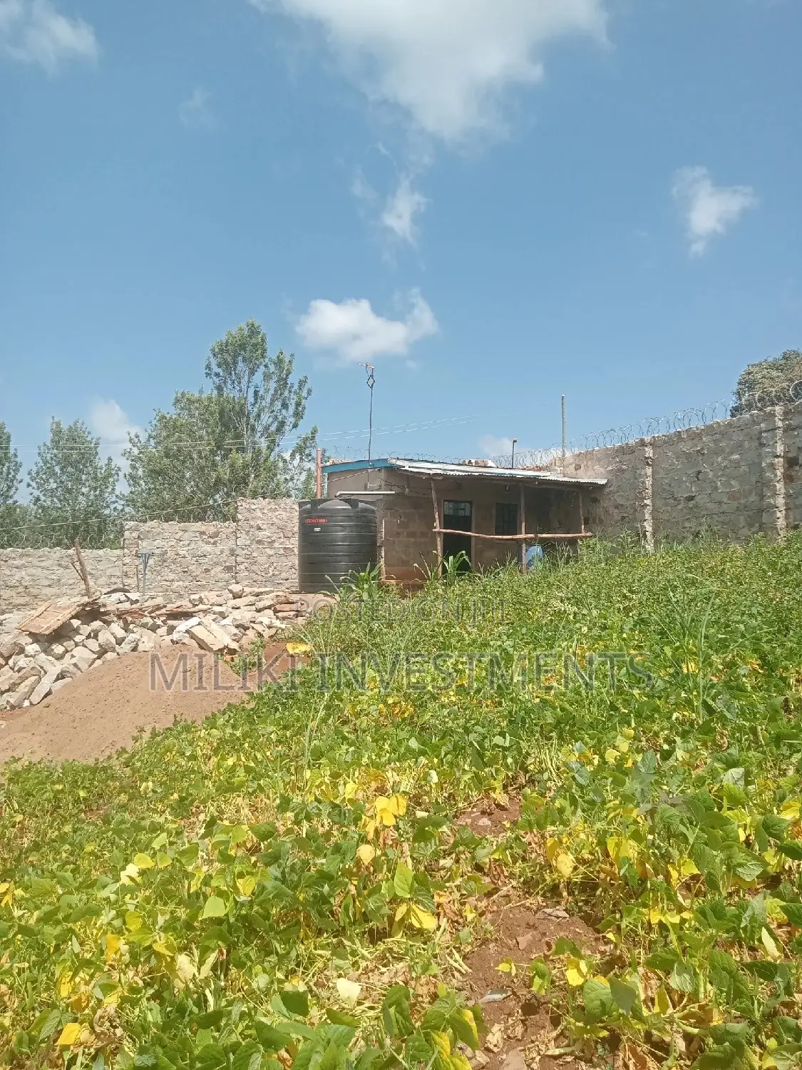 60 by 100 Plot on Sale at Kabati.