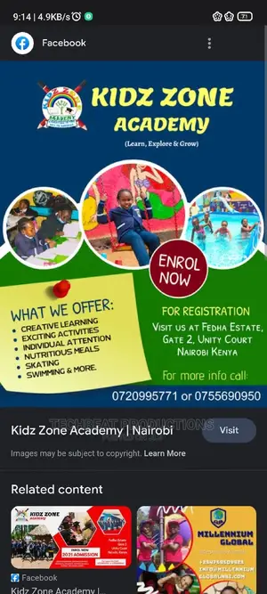 School Flyers / Brochures
