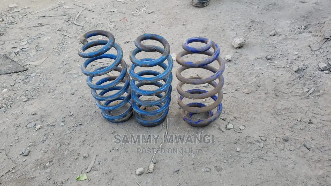 Toyota Probox Rear Springs