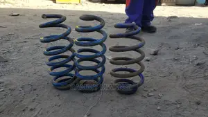 Toyota Probox Rear Springs