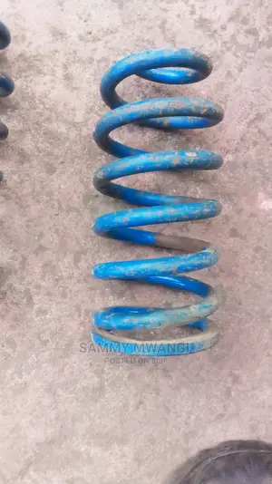 Nissan Ad Rear Springs