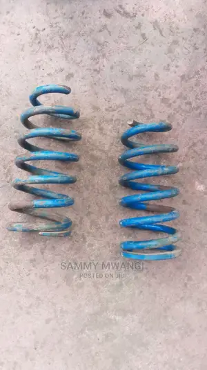 Nissan Ad Rear Springs