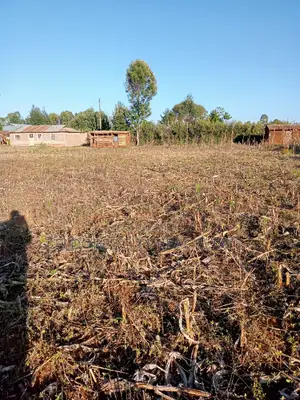 1/4 Plots Near Munyaka With Title