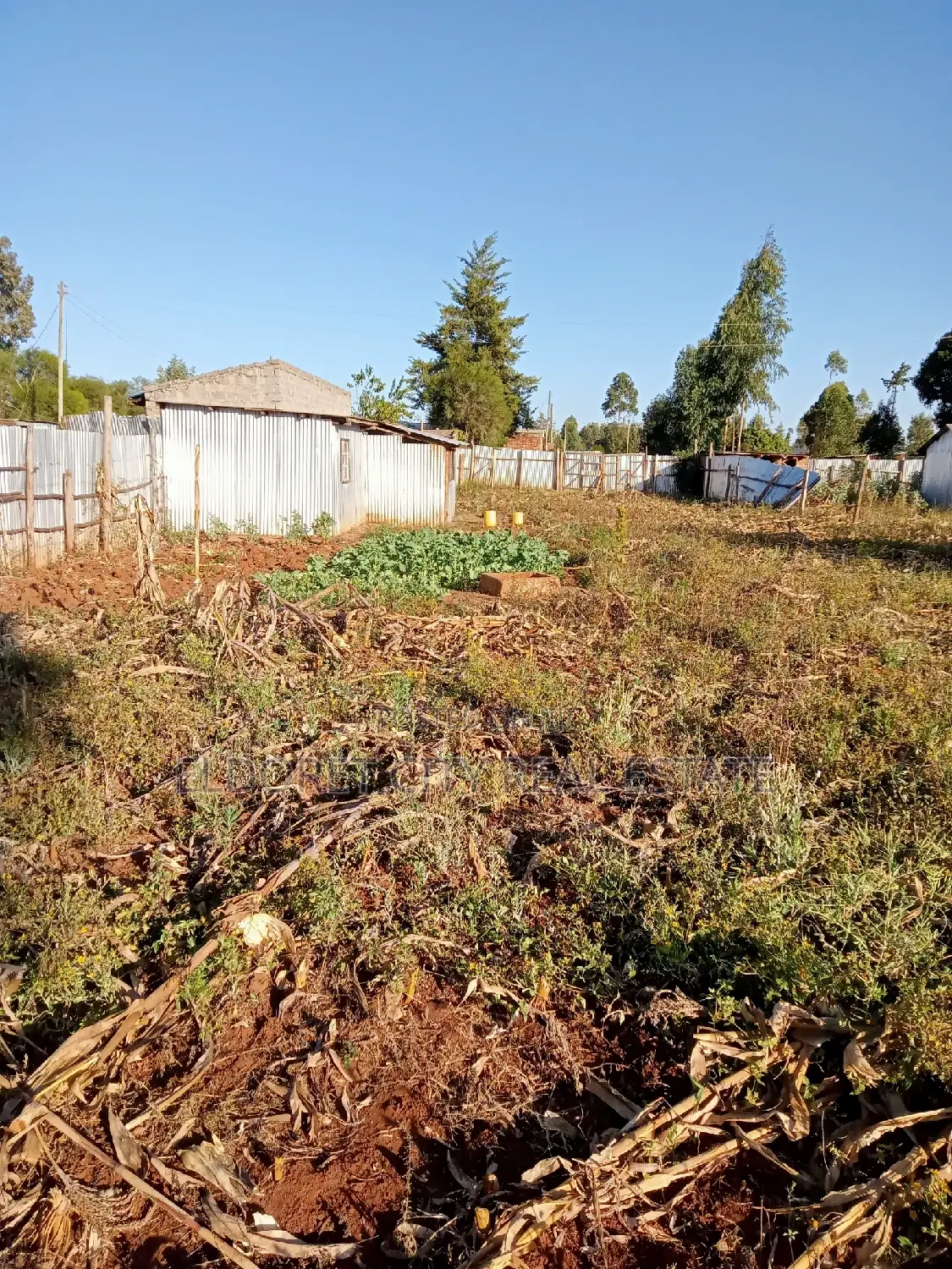 1/4 Plot Chebarus Kimumu With Title