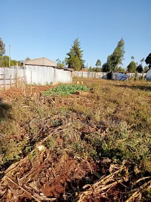 1/4 Plot Chebarus Kimumu With Title