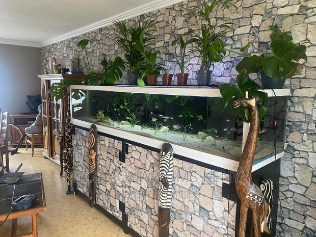 Hotel Aquariums - main view