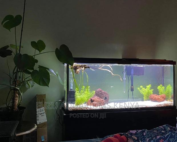 4feet Aquarium - main view
