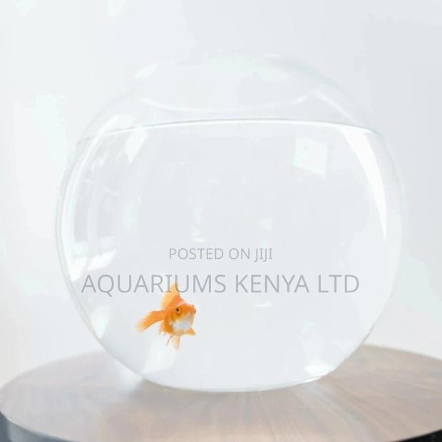Glass Fish Bowls - main view