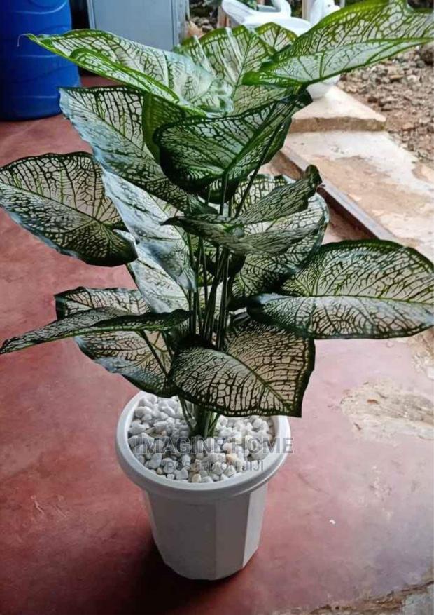 Artificial Plants - main view