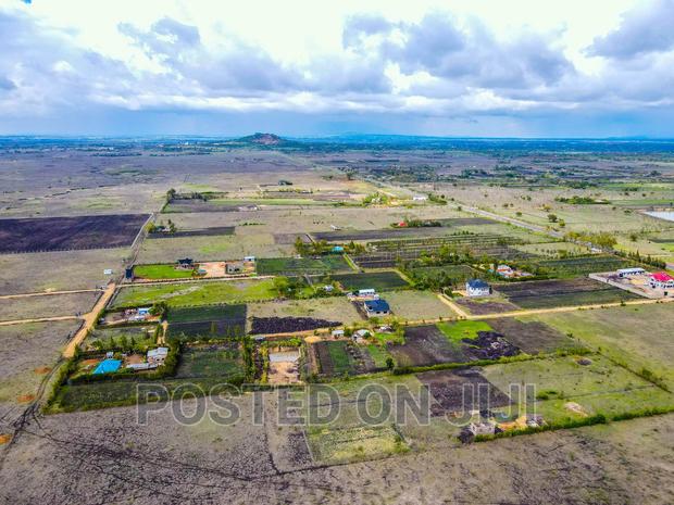 Affordable Prime Plots - thumbnail 3