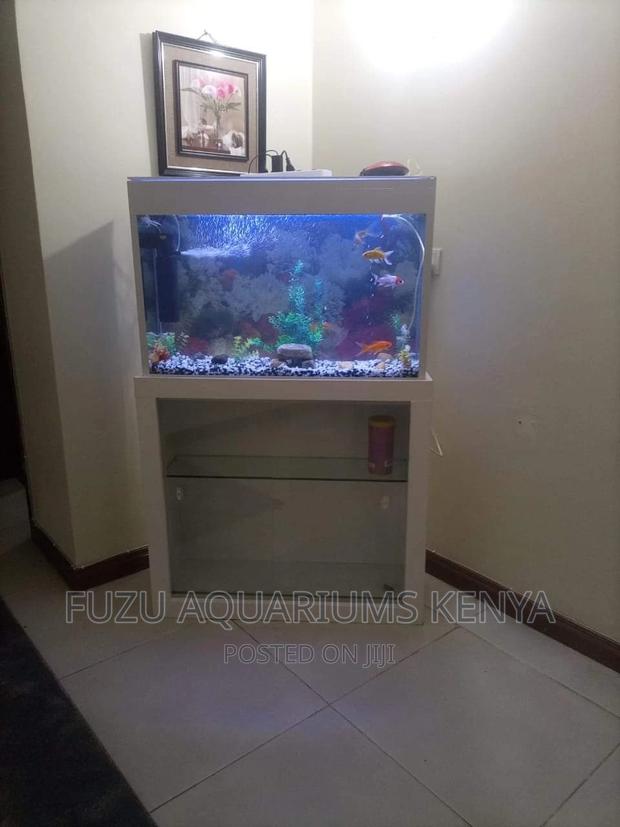 Aquarium With Unique Stand - main view