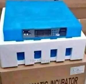 64egg Incubators - thumbnail 2