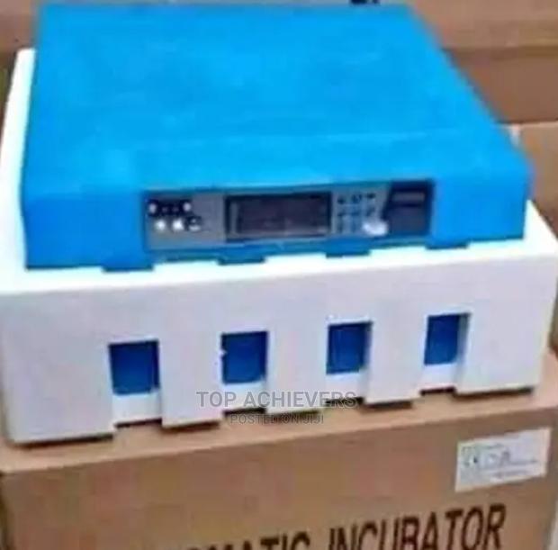 64egg Incubators - main view