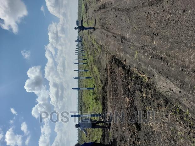 Graceville Phase 4 - thumbnail 3